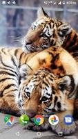 2 Schermata Tiger Wallpapers HD