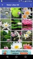 Water Lilies Flower Wallpaper imagem de tela 2