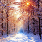 Winter HD Wallpapers biểu tượng