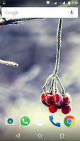 Winter HD Wallpapers ảnh chụp màn hình 1