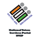 NVSP Service icon