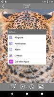 برنامه‌نما Animal Sounds Ringtones عکس از صفحه