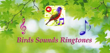 Birds Sounds Tones & Wallpaper