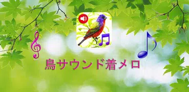 鳥サウンド着メロ＆壁紙