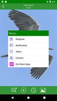 Vogels geluiden en beltonen screenshot 3