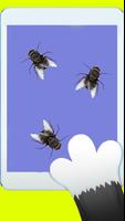 crazy cat- game for cats poster