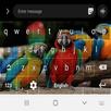 Exotic Bird Picture Keyboard T APK