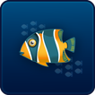 Big Fish icon