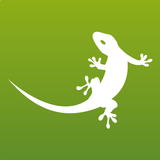 myGEKKO APK