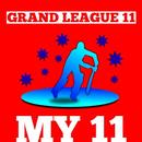 GRAND LEAGUE TIPS-Bpl,Ipl,Psl,Dream 11 Tips & team APK