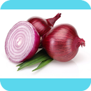 step by step get info lbasla APK