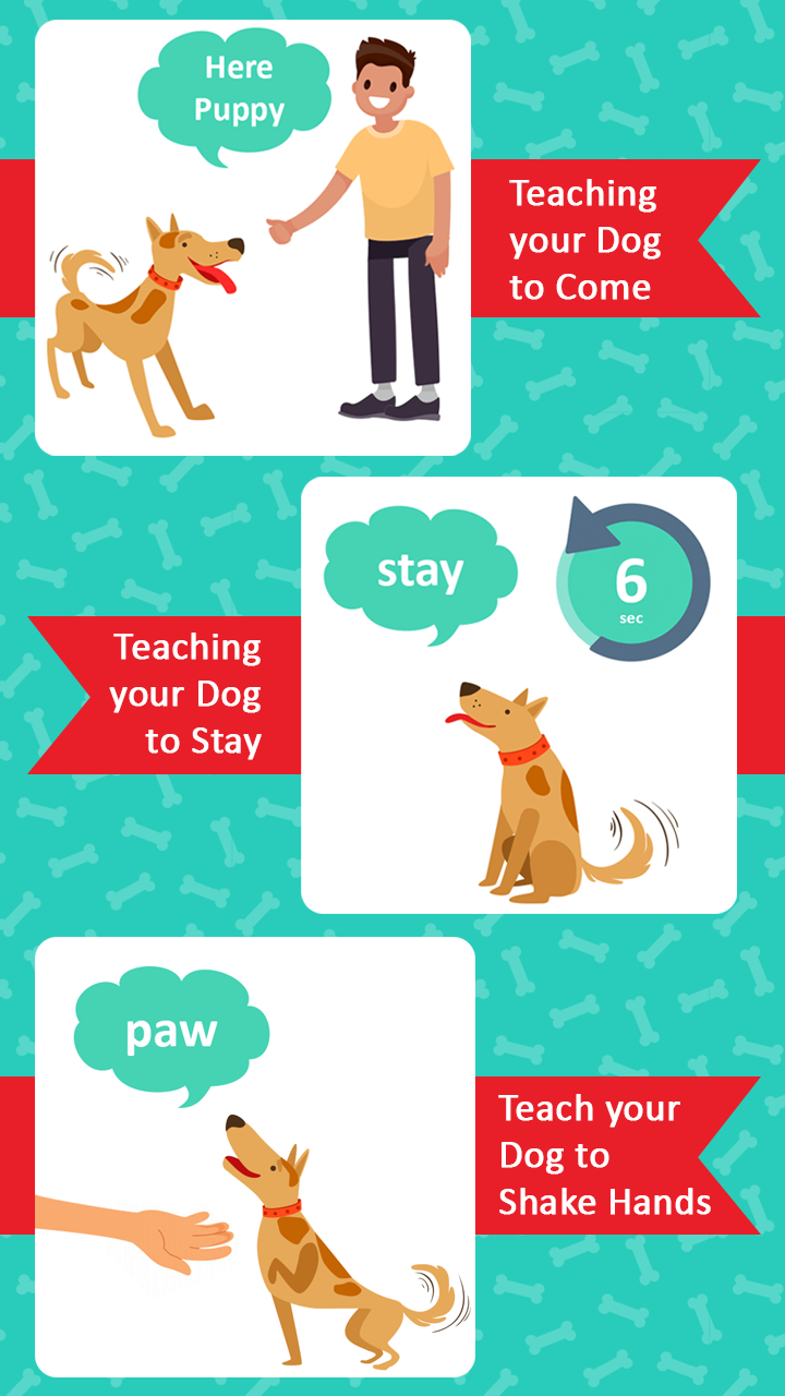 Dog Clicker Puppy Training App APK 1.0.7 Download for Android – Download Dog  Clicker Puppy Training App APK Latest Version - APKFab.com
