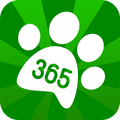 mydog365 – Hunde Training, Auslastung, Tricks, Fun