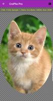 CroPho Pro - Crop Photo syot layar 3