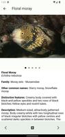 Coastal Fishes 截图 1