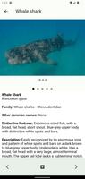 Coastal Fishes 截图 2