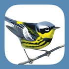 Sibley Birds 2nd Edition-icoon