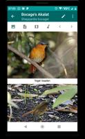 2 Schermata Birds of Zambia