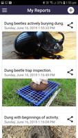 MyDungBeetle Reporter ภาพหน้าจอ 1