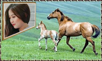 Animal Different Photo Frames ภาพหน้าจอ 2