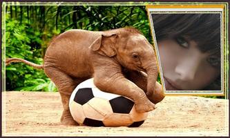 Animal Different Photo Frames ภาพหน้าจอ 3