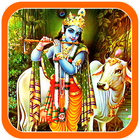 Lord Krishna Photos Wallpaper آئیکن