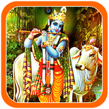 Lord Krishna Photos Wallpaper icône