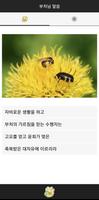 부처님 말씀 Cartaz