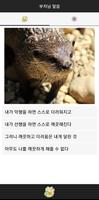 부처님 말씀 imagem de tela 1