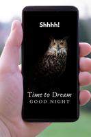 Good Night Poster