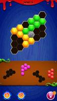 Hexa Genius Puzzle постер