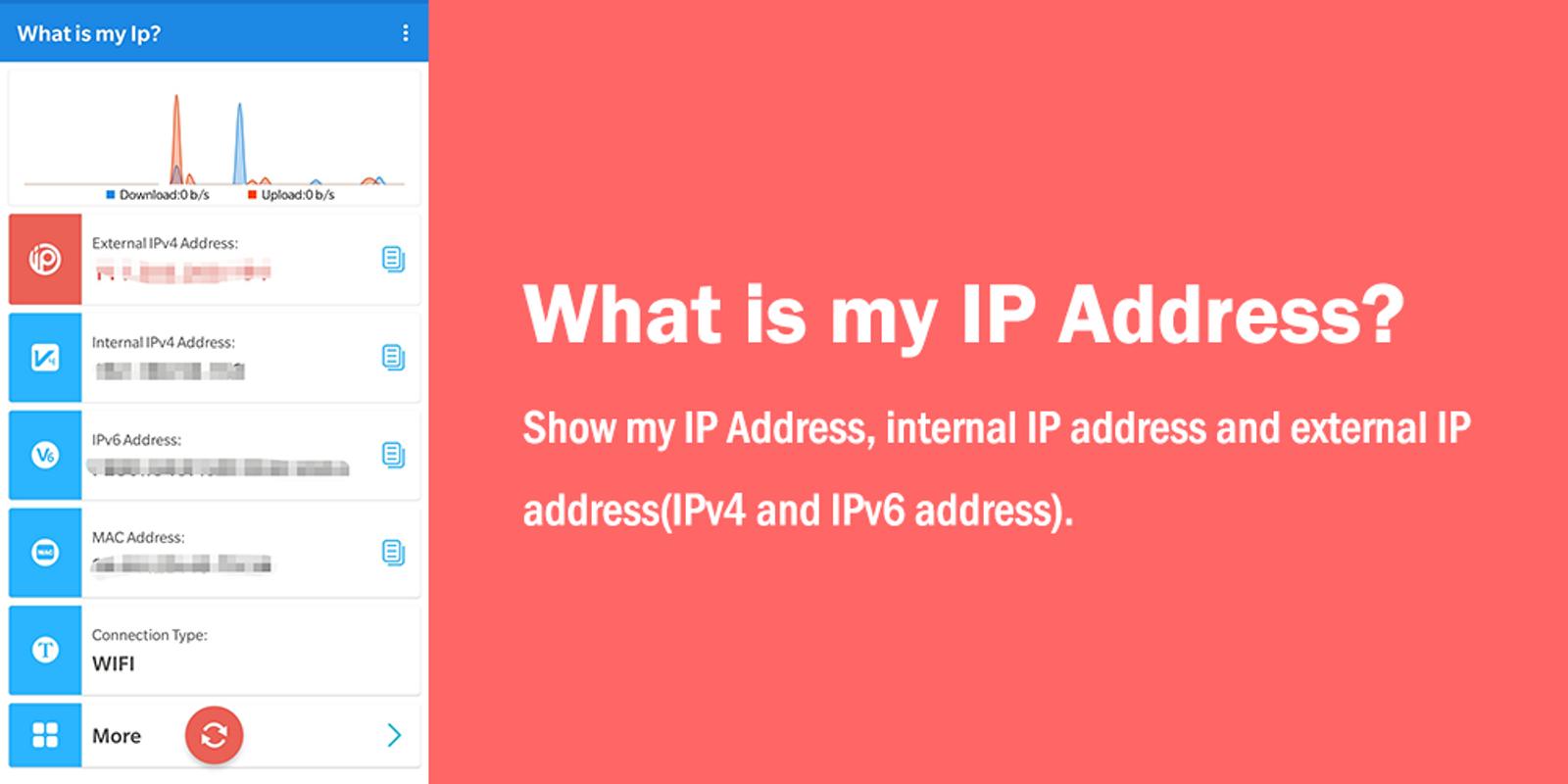 What is my IP. Show my IP. Address app