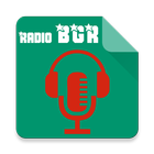 Българските радиостанции icône