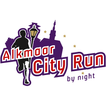 Alkmaar City Run by night