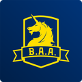 B.A.A. Marathon