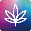 myLumii