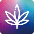 myLumii