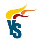 YS Group icon