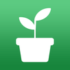 MyMelur APK