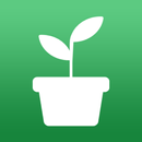 MyMelur APK