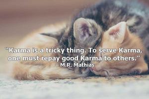 Karma Lesson In Life Quotes poster