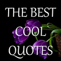 The Best Cool Quotes