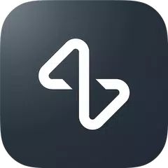 Blink Fit XAPK download