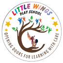 Little Wings Udaipur APK