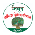 Mayur School Bher Nagaur icon
