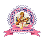 SV Public School Pindwara icône