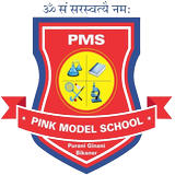 Pink Model Bikaner icon