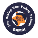 THE RISING STAR UPS GAMDI APK