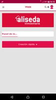 Aliseda Inmobiliaria V2 постер