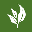 Team Fresh by Fresh Ideas Food Management